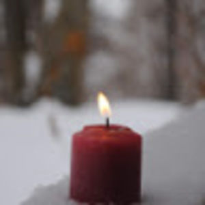 Meet your Posher, Colton